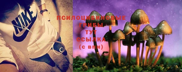 твердый Балахна
